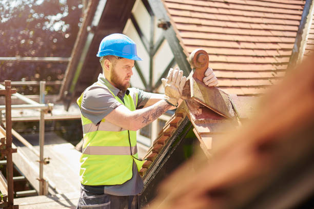 Roof Gutter Cleaning in Farmland, IN